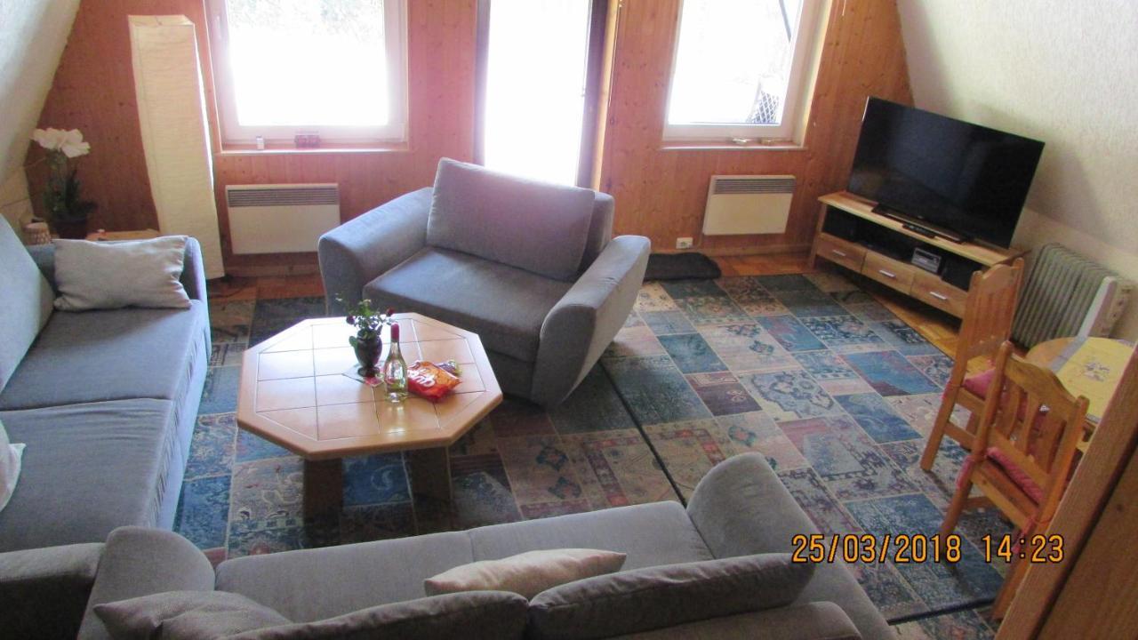 Finnhaus Neubauer Elbingerode  Extérieur photo