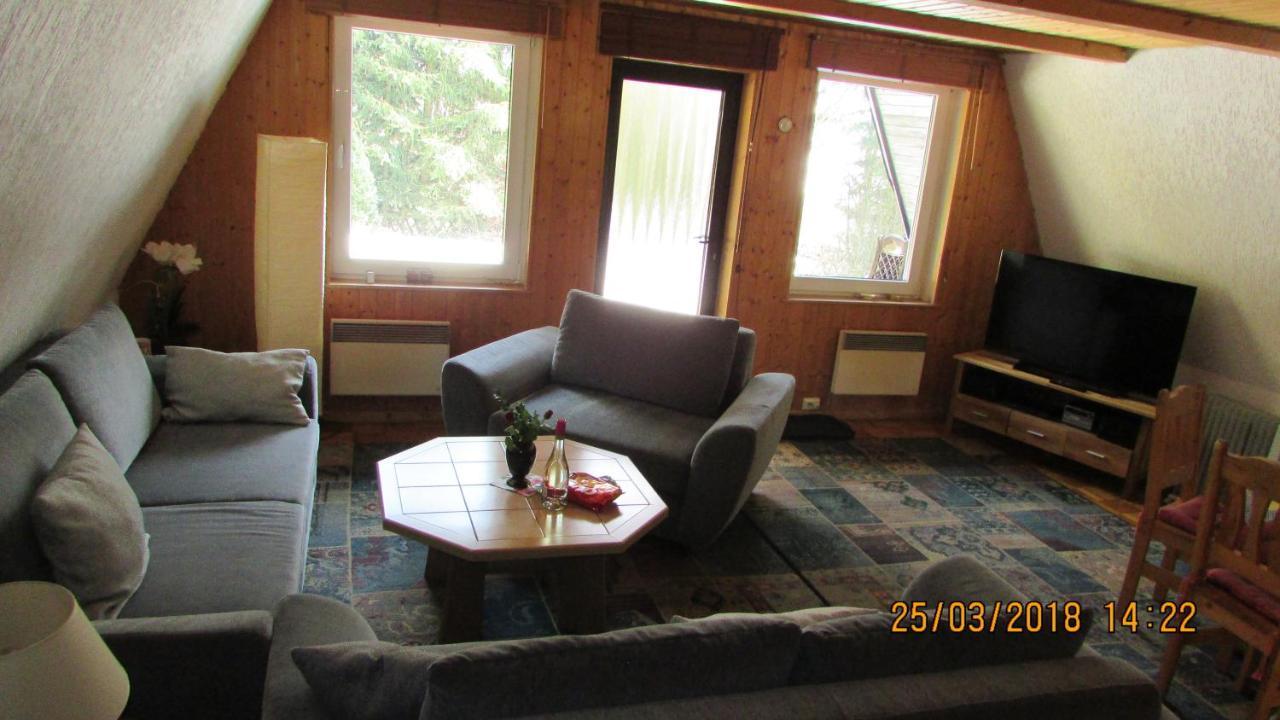 Finnhaus Neubauer Elbingerode  Extérieur photo