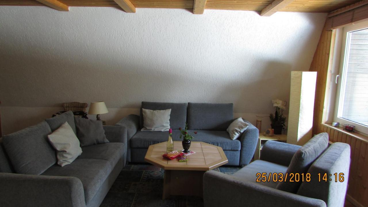 Finnhaus Neubauer Elbingerode  Extérieur photo