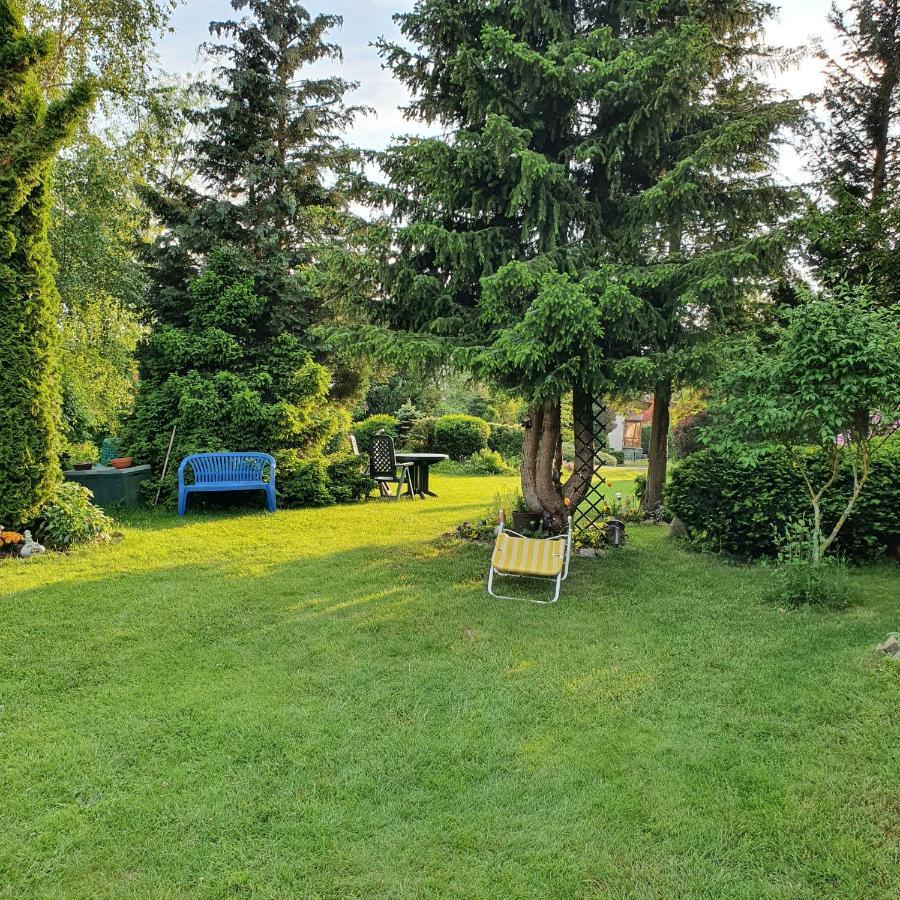 Finnhaus Neubauer Elbingerode  Extérieur photo