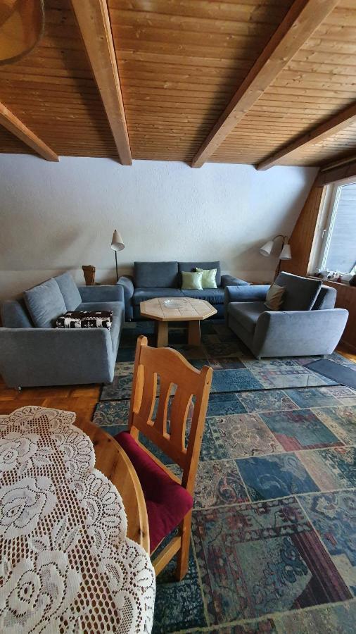 Finnhaus Neubauer Elbingerode  Extérieur photo
